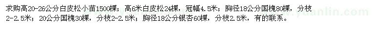 求購白皮松小苗、白皮松、國槐、銀杏