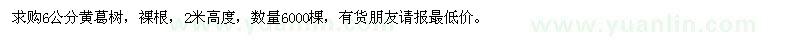 求購6公分黃葛樹