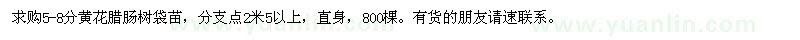 求購5-8分黃花臘腸樹袋苗