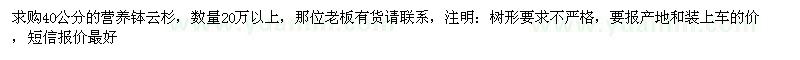 求購40公分的營養(yǎng)缽云杉 