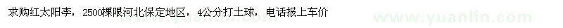 求購紅太陽李