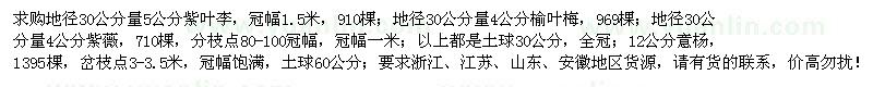 求購紫葉李、榆葉梅、紫薇、意楊