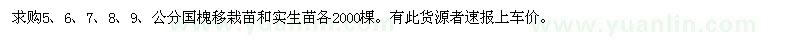 求購國槐