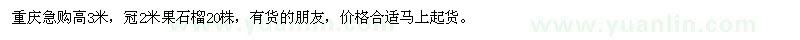 求購果石榴20株