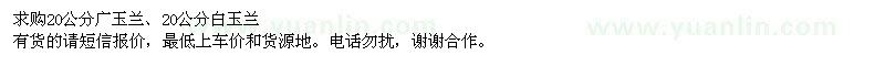 求購20公分廣玉蘭、白玉蘭