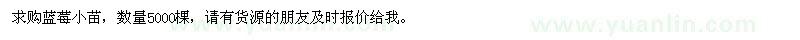 求購藍莓小苗