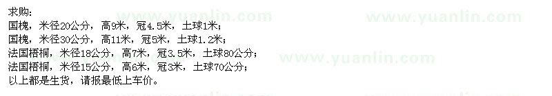 求購國槐、法國梧桐
