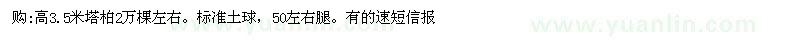 求購高3.5米塔柏