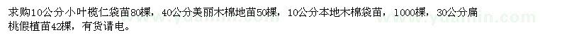 求購(gòu)小葉欖仁、美麗木棉、扁桃