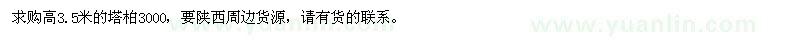 求購高3.5米塔柏