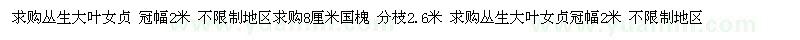 求購叢生大葉女貞、國槐 