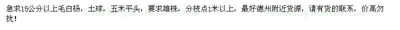 求購15公分以上毛白楊