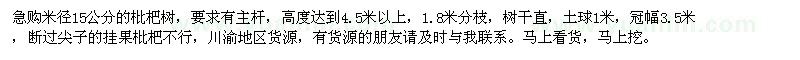 求購米徑15公分的枇杷樹