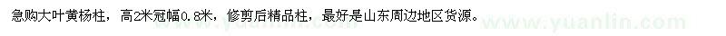 求購(gòu)大葉黃楊柱高2米