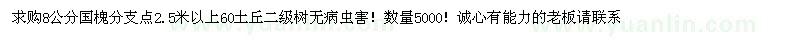 求購8公分國槐