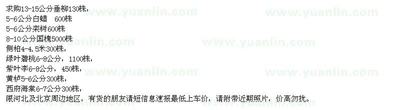 求購垂柳、側(cè)柏、綠葉碧桃、紫葉李、黃櫨等