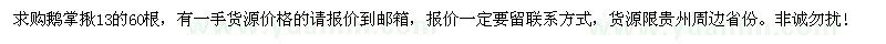 求購鵝掌楸13的