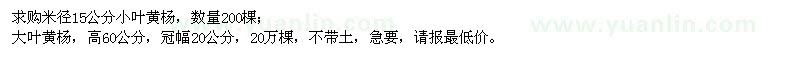 求購(gòu)小葉黃楊、大葉黃楊