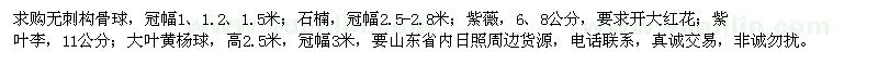 求購無刺構(gòu)骨球、紫薇、紫葉李、石楠、大葉黃楊球