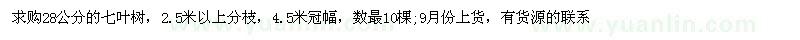 求購28公分的七葉樹