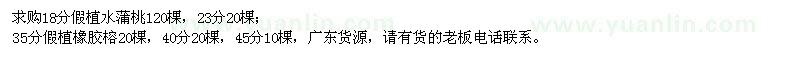 求購水蒲桃、橡膠榕