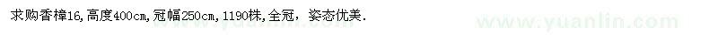 求購(gòu)高度400公分香樟