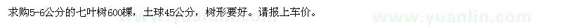 求購5-6公分七葉樹