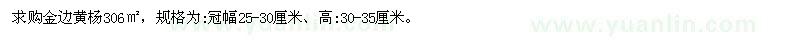 求購冠幅25-30厘米金邊黃楊