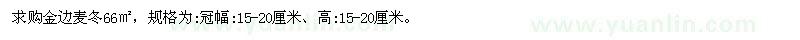 求購冠幅15-20公分金邊麥冬