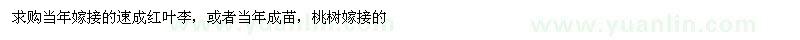 求購當年嫁接的速成紅葉李
