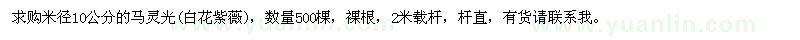 求購米徑10公分的馬靈光