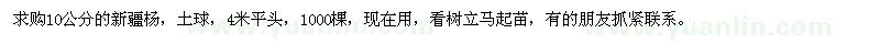求購10公分的新疆楊