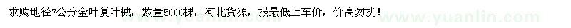求購地徑7公分金葉復(fù)葉槭