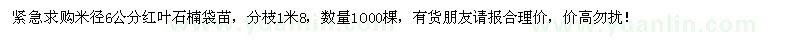 求購(gòu)米徑6公分紅葉石楠袋苗
