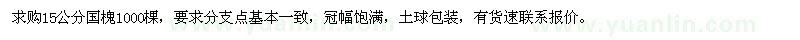 求購15公分國槐
