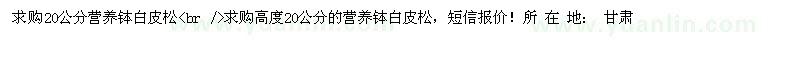 求購20公分營養(yǎng)缽白皮松