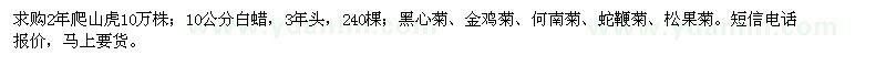 求購(gòu)爬山虎、白蠟、黑心菊、金雞菊、何南菊、蛇鞭菊