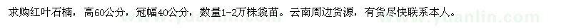 求購紅葉石楠