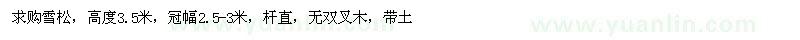 求購高3.5米雪松