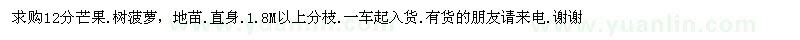求購12公分芒果、樹菠蘿地苗