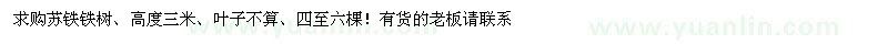 求購蘇鐵鐵樹 