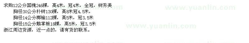 求購國槐、樸樹、榔榆、鵝掌楸
