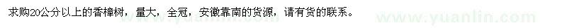 求購20公分以上香樟樹