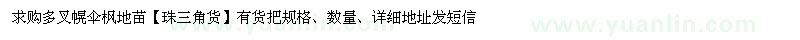 求購幌傘楓