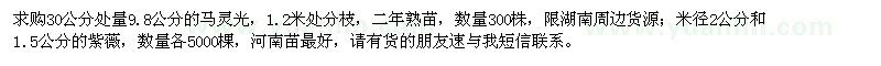 求購馬靈光、紫薇