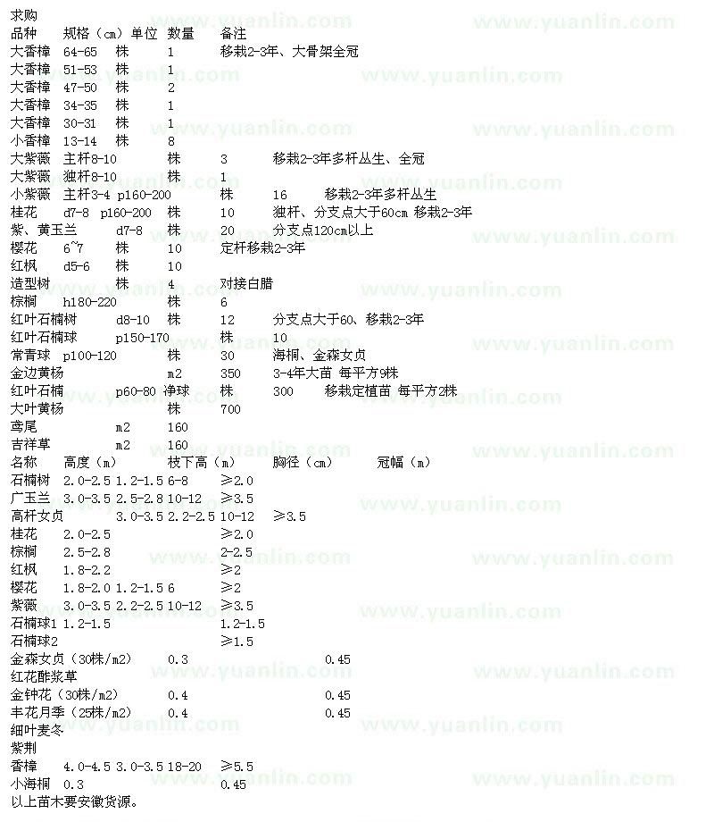 求購(gòu)大香樟、大紫薇、桂花、櫻花、石楠、廣玉蘭、高桿女貞等