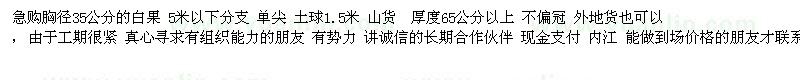 求購(gòu)胸徑35公分白果