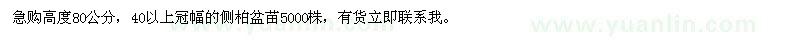求購高度80公分側(cè)柏盆苗