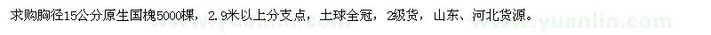 求購(gòu)胸徑15公分原生國(guó)槐