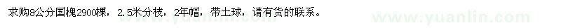 求購8公分國槐